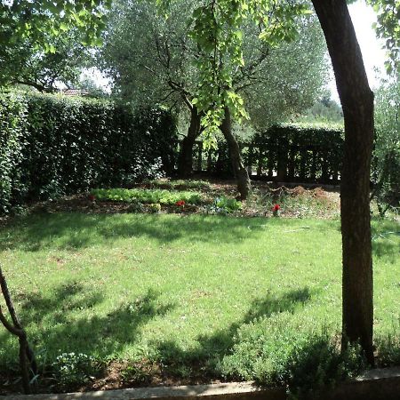 Apartment Martina Biograd Na Moru Luaran gambar