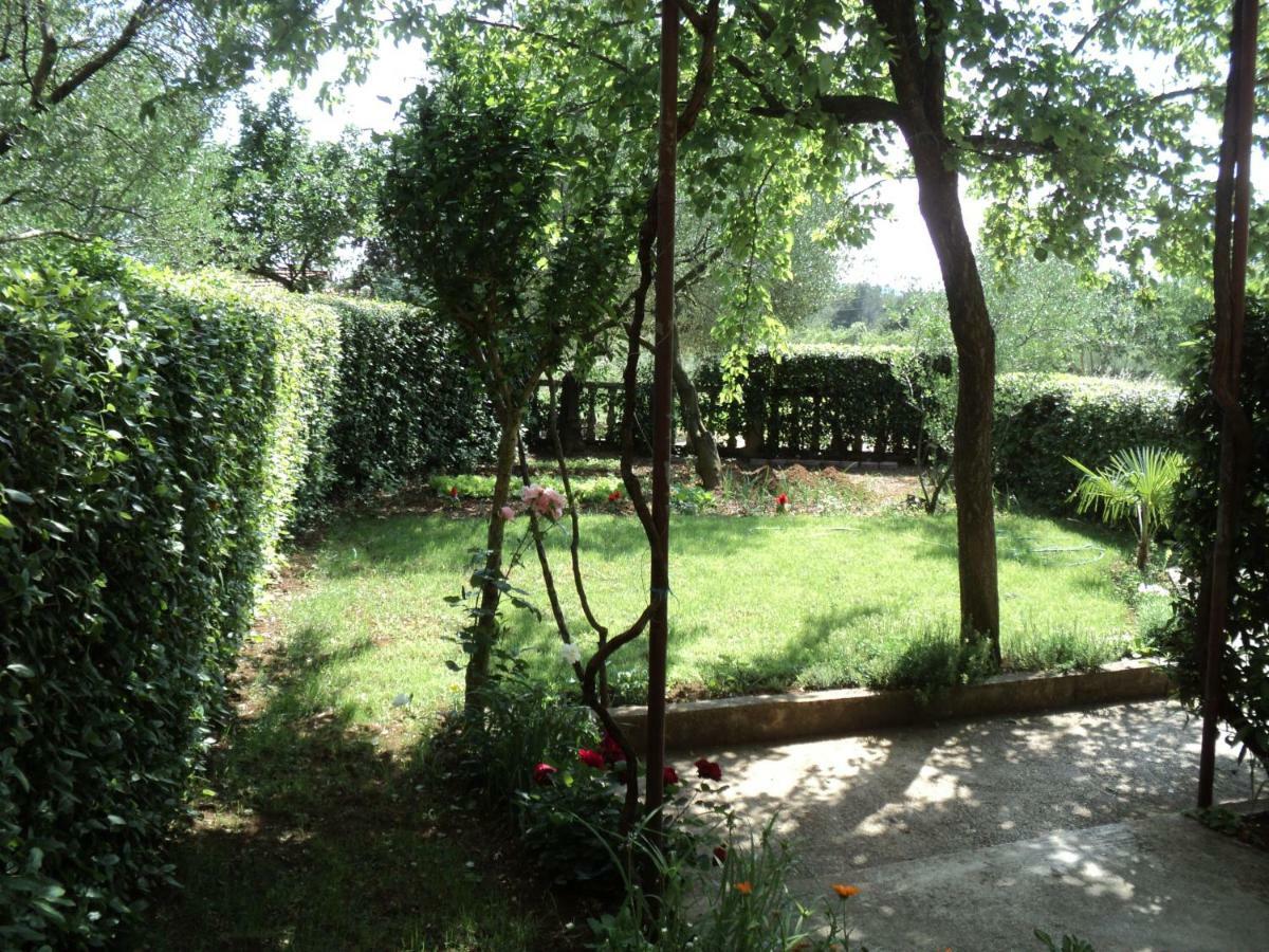 Apartment Martina Biograd Na Moru Luaran gambar