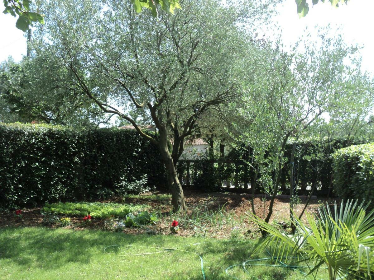 Apartment Martina Biograd Na Moru Luaran gambar